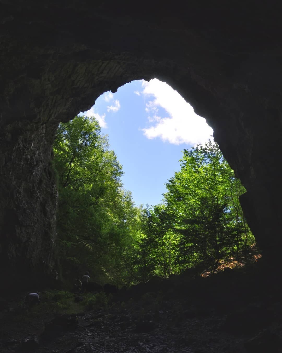 Ulaz u pećinu sa pogledom na šumu